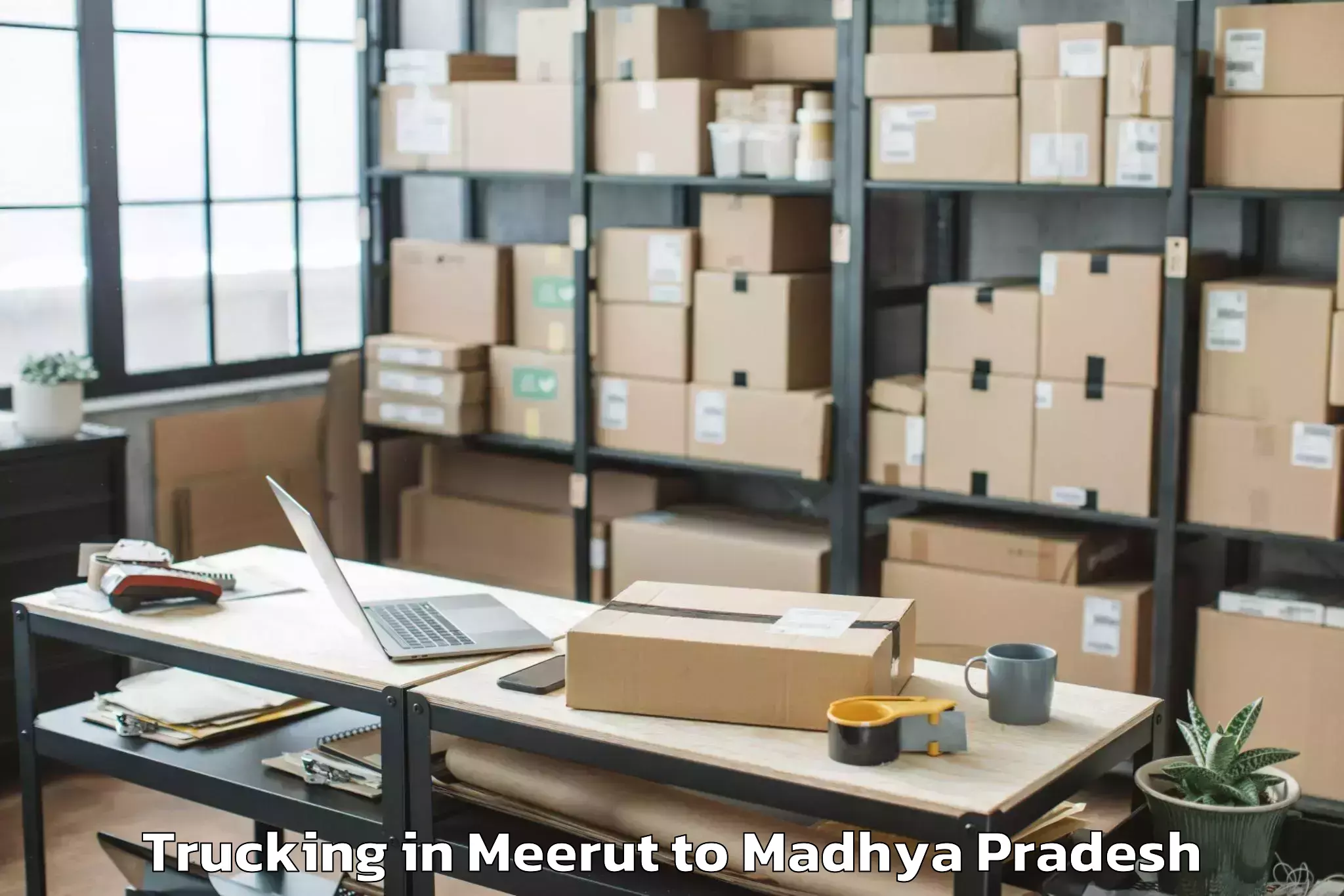 Leading Meerut to Maihar Trucking Provider